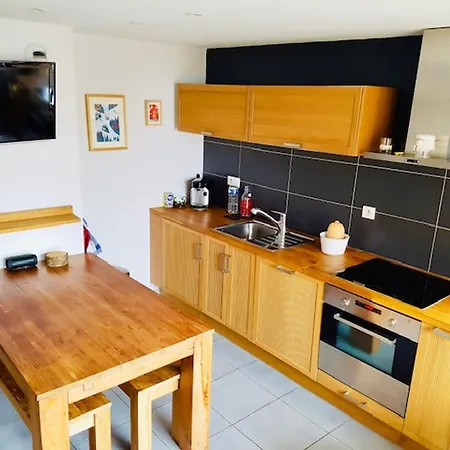 Cosy Aux Deux Alpes, Au Pied Des Pistes, Pour 4 Pers, Balcon, Parking, Proche Commodites - Fr-1-516-211